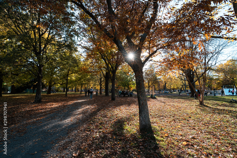 Naklejka premium Herbstlaub