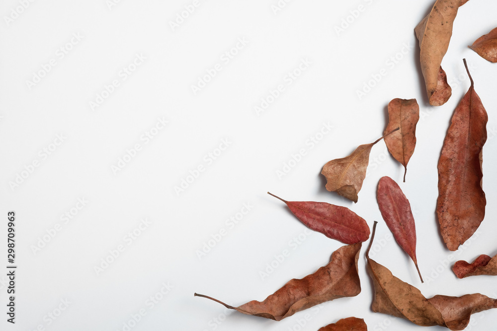 Fototapeta premium Autumn composition. Frame made of autumn leaves, Flat lay leaf on white background, top view, copy space