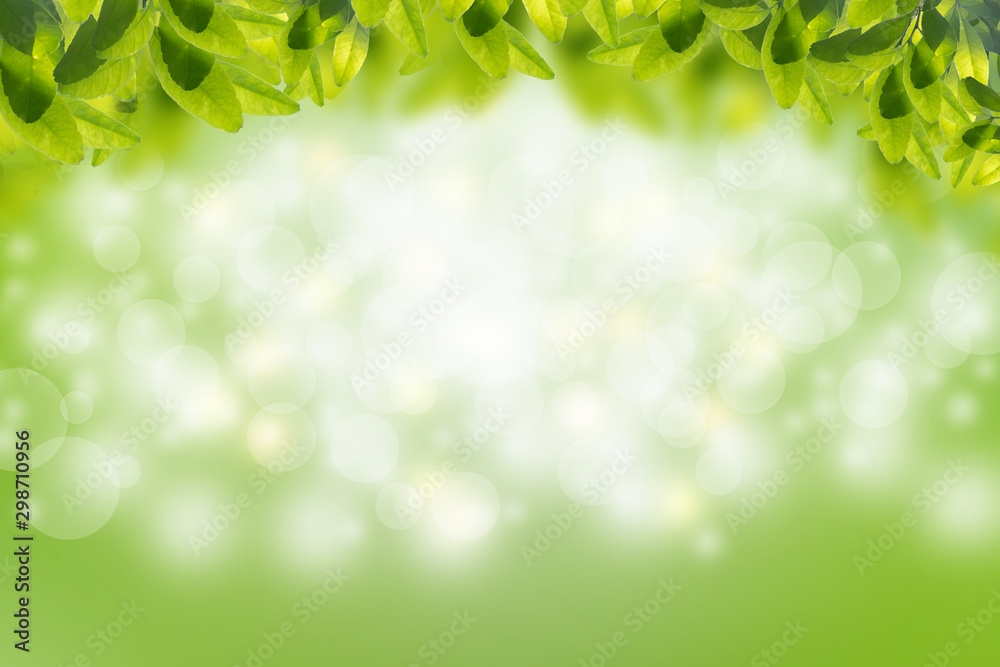 Green leaves in blurred and bokeh light background,Leaf and copy space Green leaves in blurred and bokeh light background,Leaf and copy space