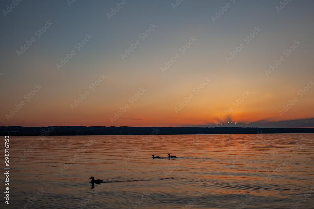 Aidenried bei Sonnenuntergang mit Enten