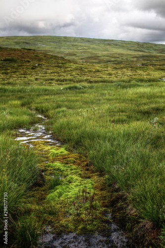 HDR image of Landscape in Skaarnja Nature Reserve in Sweden photo