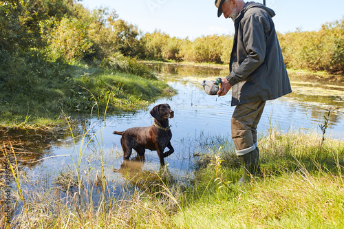 Senior hunter hunt on ducks in autumn, in lake. Dog help him to hunt, man holding duck in hands, dog look at duck