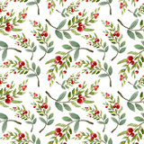 Watercolor floral pattern of branch with red berries. Hand-drawn illustration