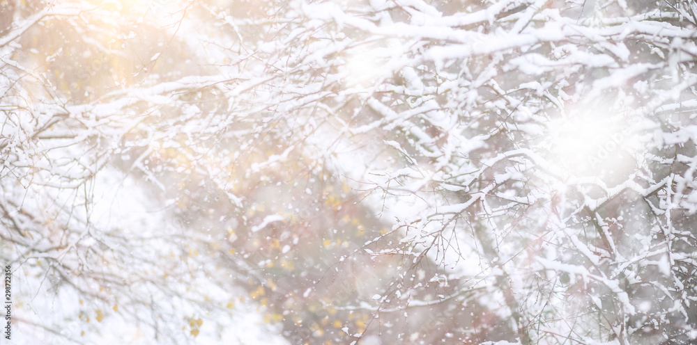 Fototapeta premium Winter Park. Landscape in snowy weather. January.