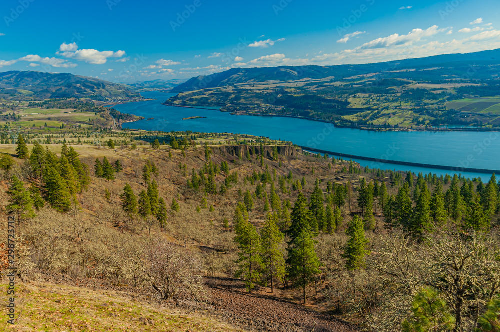 View of Columbia River Gorge, from Budoin Mt., just east of Bingen, Washington.