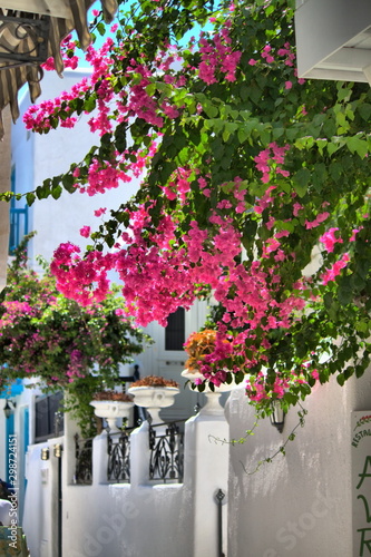 Urban scenic of Mykonos, Greece