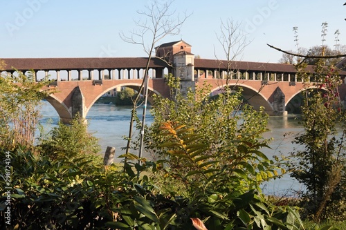 Pavia ponte Vecchio © uva51