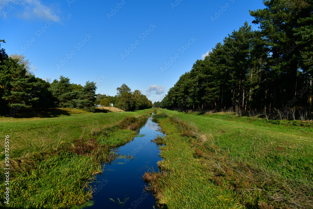 Obraz premium flowing river in the park between trees