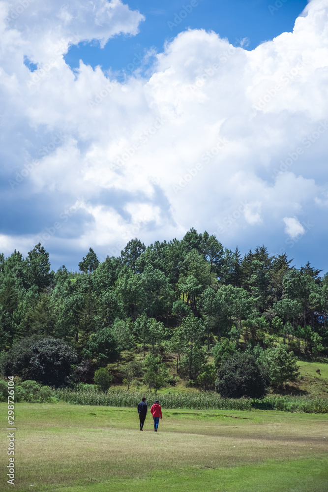 Pareja joven caminando en el campo ilustrando la idea de la vida rural y la tranquilidad de caminar al aire libre Pareja joven caminando en el campo ilustrando la idea de la vida rural y la tranquilidad de caminar al aire libre