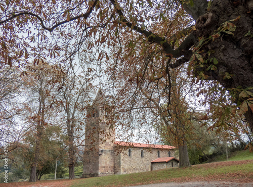 Autumn trees with brown leaves and ground covered by leaves in the park with old church. North of Spain.