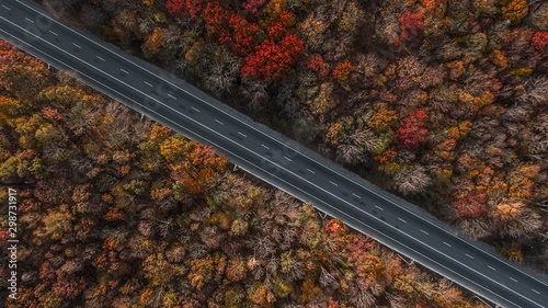 Aerial view of the road in beautiful autumn forest
