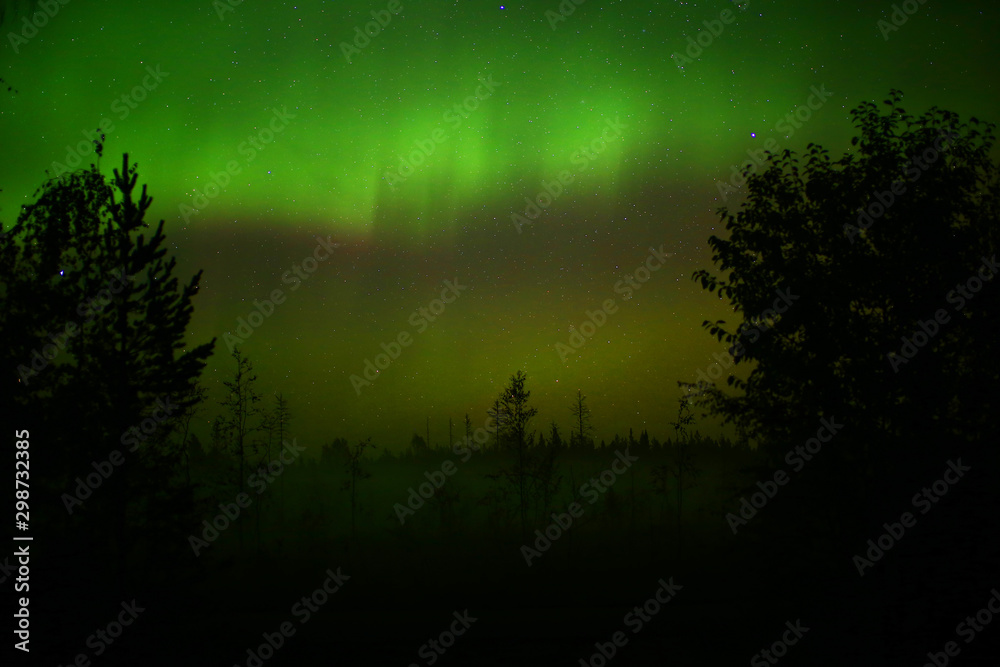 Fototapeta premium Northern lights over oncoming fog in the night