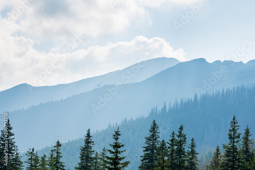 Forest and Polish mountains Tatry on a beautiful sunny day