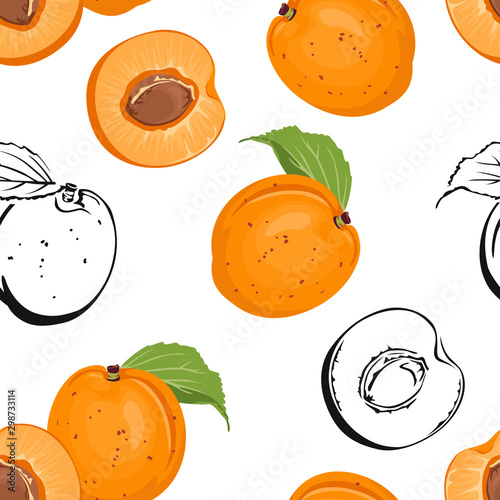 Apricot seamless pattern isolated on white background. Vector color illustration of sweet fruit whole and half in cartoon flat style and black and white outline.