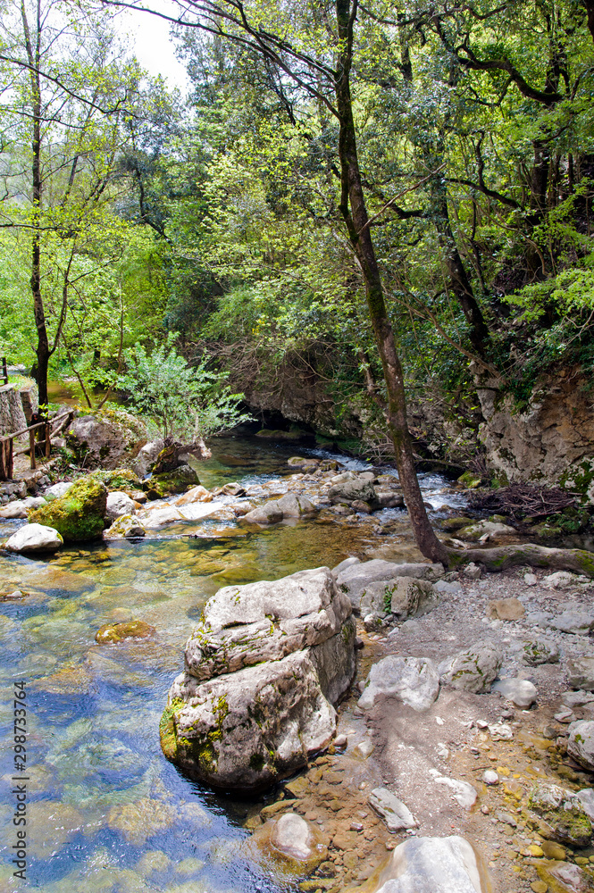 Obraz premium Mountain landscape with forest and a brook.