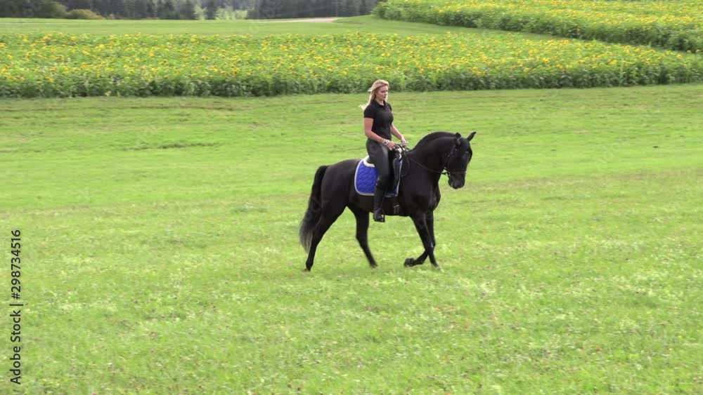 beautiful blonde riding a black horse rides on a flower field beautiful blonde riding a black horse rides on a flower field