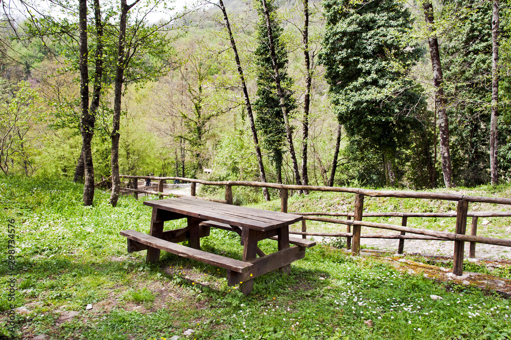 Wooden table-and-bench in a mountain picnic area