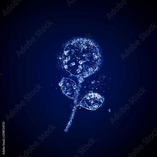 Ice flower in a blue background © ivanschitz