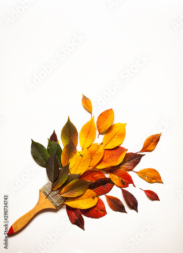 paint brush in the colors of autumn. brush from foliage of autumn colors. Autumn cherry leaves. concept: autumn creative, sale, Black Friday. copy space. isolate on white.