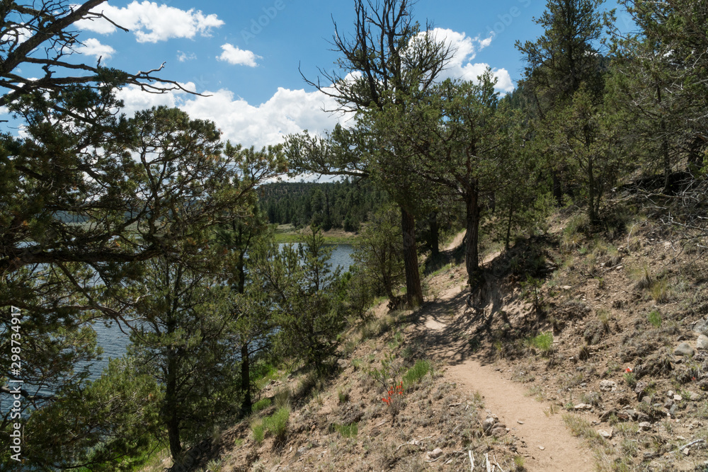 Quemado lake's north side hiking path. Quemado lake's north side hiking path.