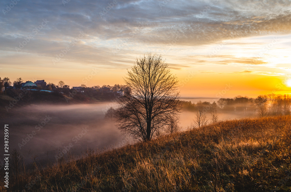 Autumn tree without leaves in the center of the frame at dawn. Beautiful autumn dawn. Autumn tree without leaves in the center of the frame at dawn. Beautiful autumn dawn.