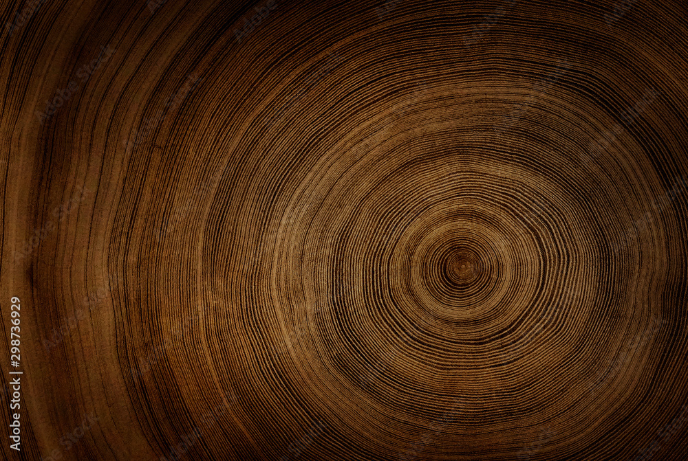 Old wooden tree cut surface. Detailed warm dark brown and orange tones of a felled tree trunk or stump. Rough organic texture of tree rings with close up of end grain. Old wooden tree cut surface. Detailed warm dark brown and orange tones of a felled tree trunk or stump. Rough organic texture of tree rings with close up of end grain.
