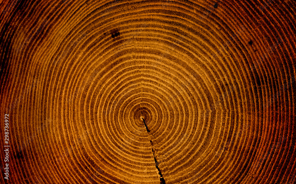 Old wooden tree cut surface. Detailed warm dark brown and orange tones of a felled tree trunk or stump. Rough organic texture of tree rings with close up of end grain. Old wooden tree cut surface. Detailed warm dark brown and orange tones of a felled tree trunk or stump. Rough organic texture of tree rings with close up of end grain.