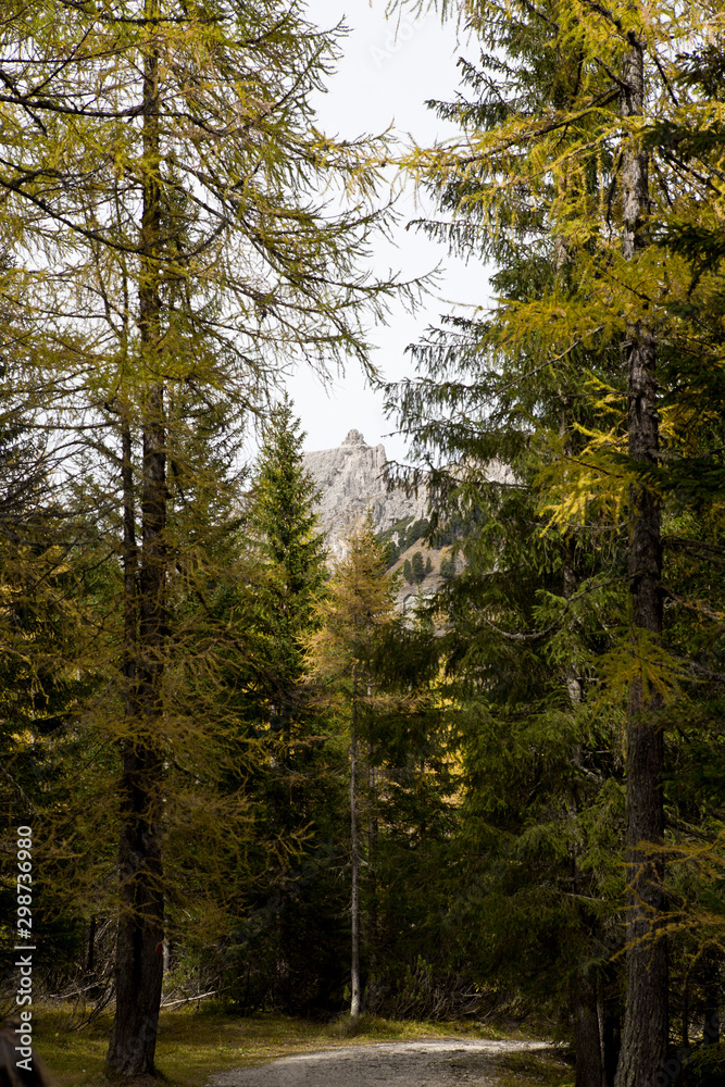 Wanderung im Herbst in Alta Badia Corvara in Südtirol mit schöner Bergkulisse in den Dolomiten Italien Wanderung im Herbst in Alta Badia Corvara in Südtirol mit schöner Bergkulisse in den Dolomiten Italien