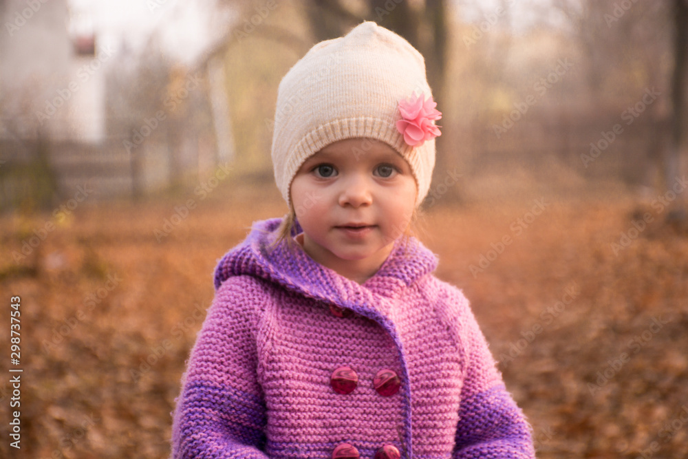 little girl in autumn park little girl in autumn park