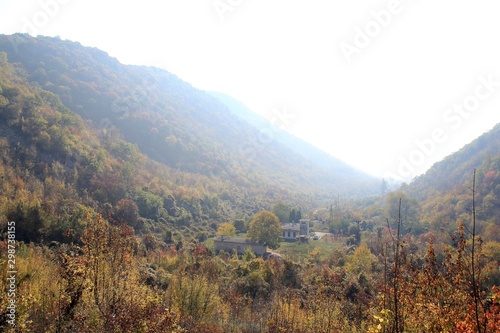 Forest on Shumen plateau (Bulgaria) in autumn in fog