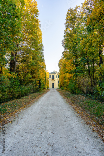 Alley in Autumn in Vienna  Austria