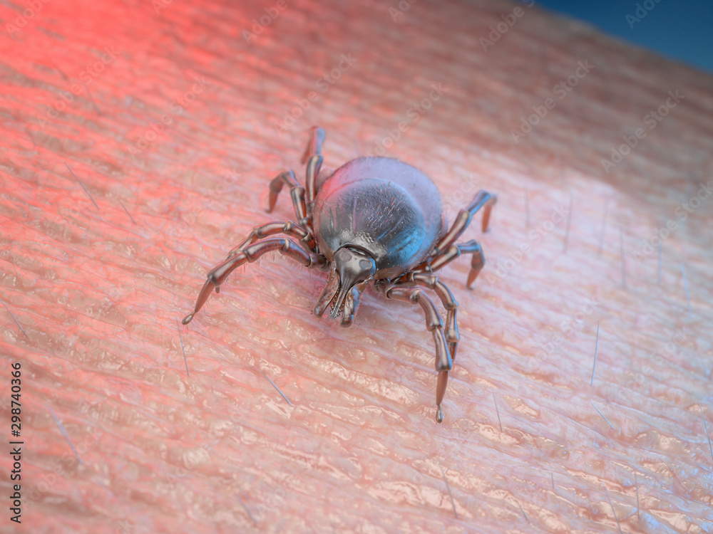 3d rendered medically accurate illustration of a tick on human skin 3d rendered medically accurate illustration of a tick on human skin