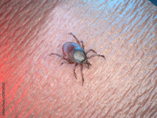 3d rendered medically accurate illustration of a tick on human skin