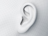 3d rendered medically accurate illustration of a wireframe ear