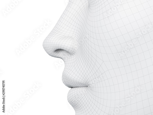 3d rendered medically accurate illustration of a wireframe nose