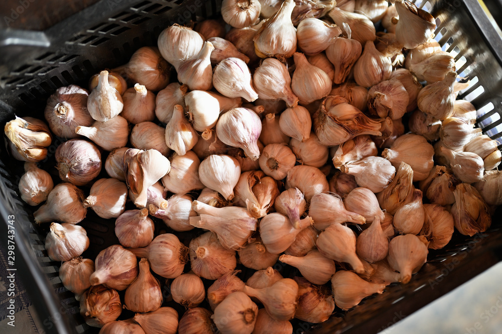 Small cloves of garlic in a crate black. Small cloves of garlic in a crate black.