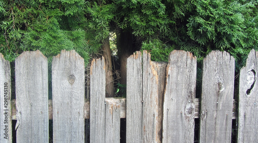 Broken Fence, Cedar, Wooden