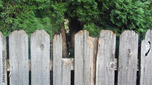 Broken Fence, Cedar, Wooden