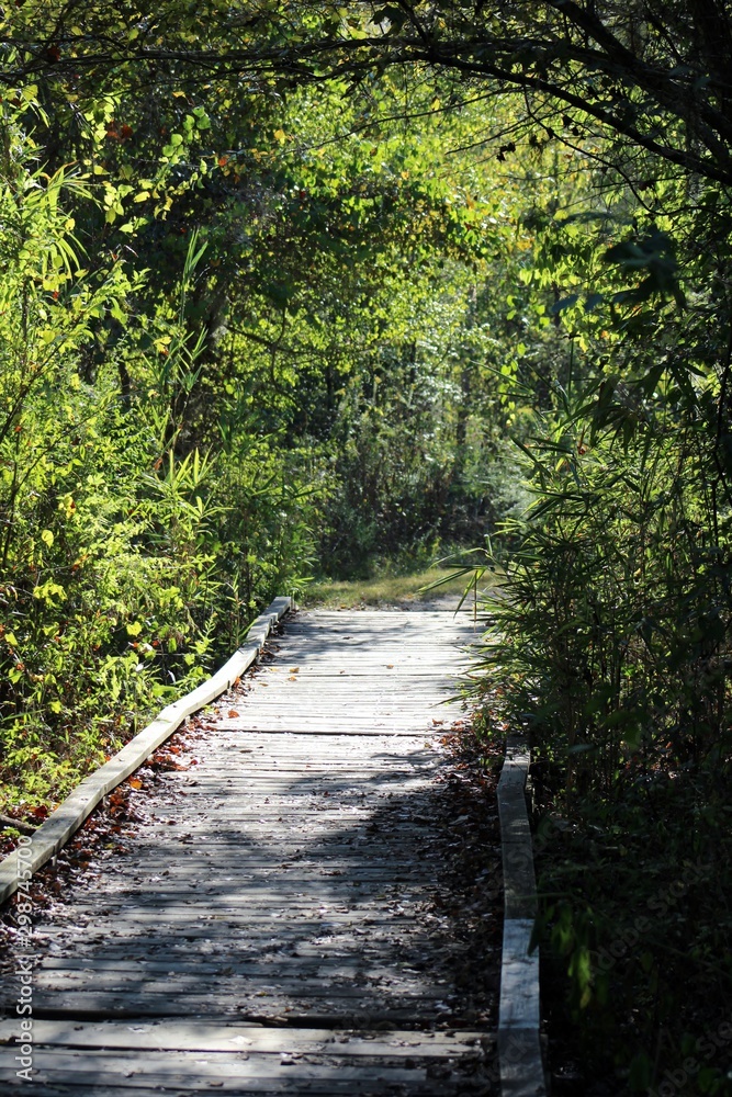 Obraz premium nature hike