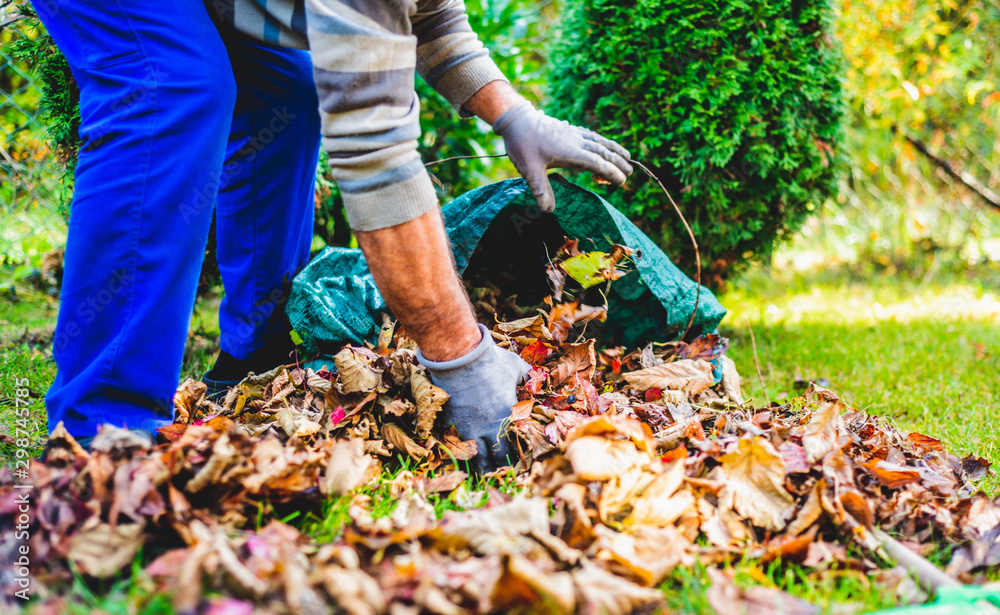 Foto de Seasonal raking of leaves in the garden. Concept of cleaning and  caring for the garden. Man rakes withered and colorful leaves in the  garden. Autumn cleaning before winter, spring cleaning