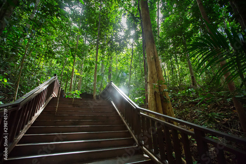 Ladders to top of viewpoint of Piaynemo island, Raja Ampat, Indonesia