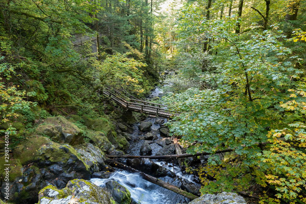 Footbridge over Hardy Creek from Rodney Falls in Beacon Rock State Park, Washington, USA Footbridge over Hardy Creek from Rodney Falls in Beacon Rock State Park, Washington, USA