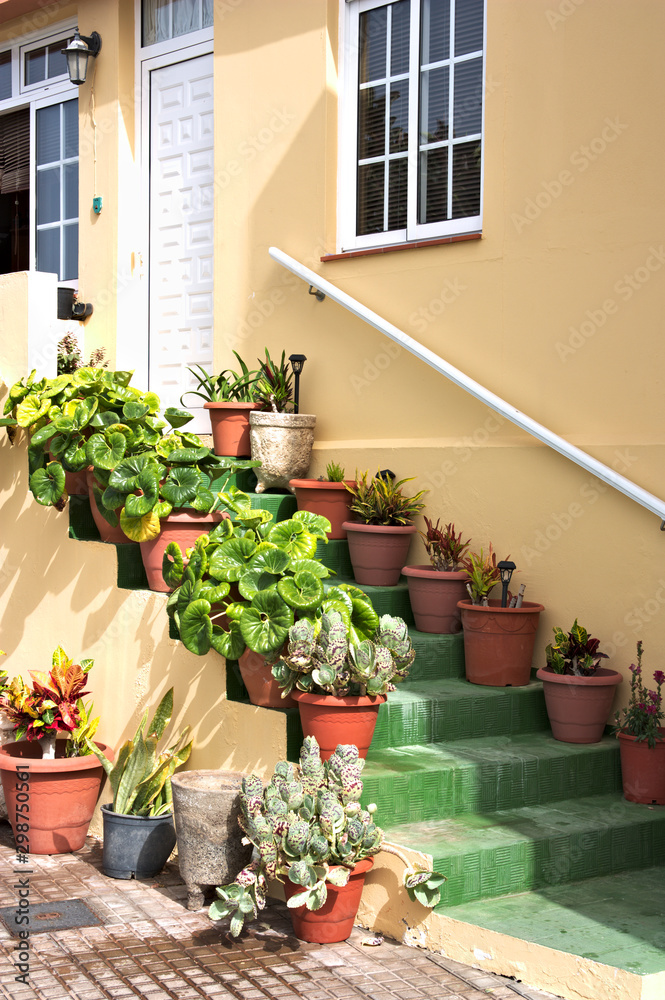 Naklejka premium Decoration of an entrance staircase to a property seen from the street