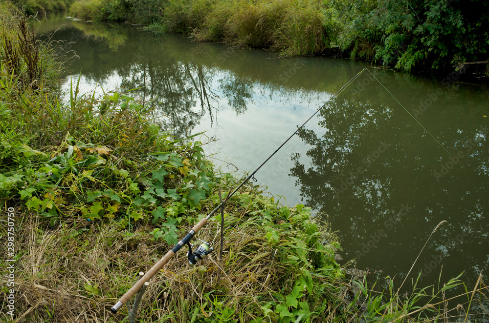 Wild overgrown section of the river. Spin fishing. Peksha River, Russia