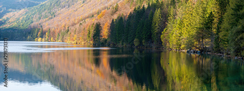 Fototapeta Naklejka Na Ścianę i Meble -  Wald in bunten Herbstfarben mit Spiegelung im Langbathsee bei Sonnenuntergang Panorama