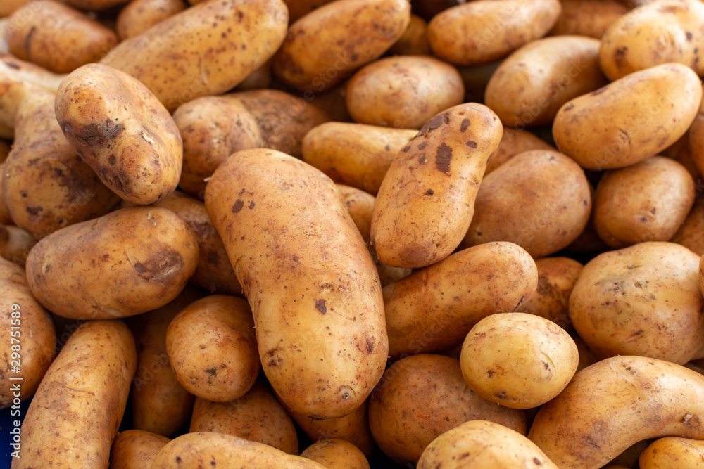 Potatoes on market, new harvest of potatoes vegetables close up Potatoes on market, new harvest of potatoes vegetables close up