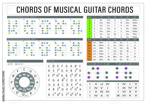 Photographie Guitar Scales and Tips Board Poster