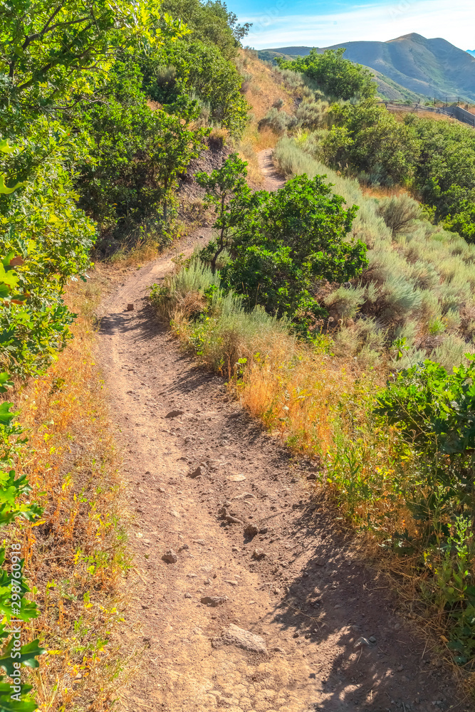 Close up of a narrow dirt road in the mountain for hikers viewed on a sunny day