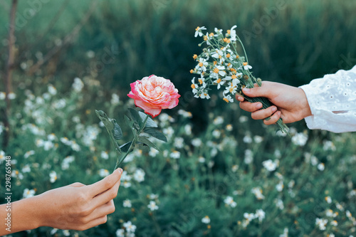็Hand holding rose flower to give someone in the meadow.