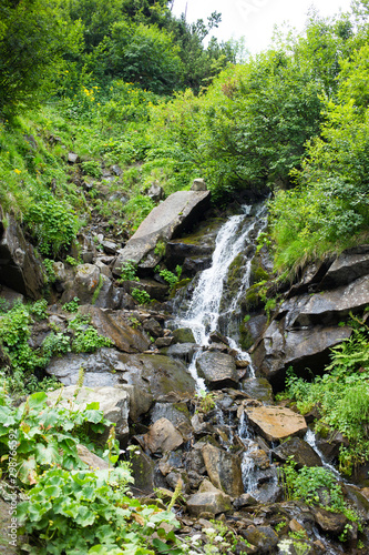 Beautiful Nature Background